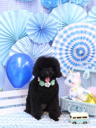 20231119豆ちゃん